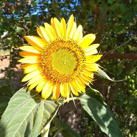 Vista Gransasso Apartment *