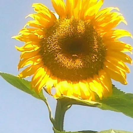 Apartment Vista Gransasso *