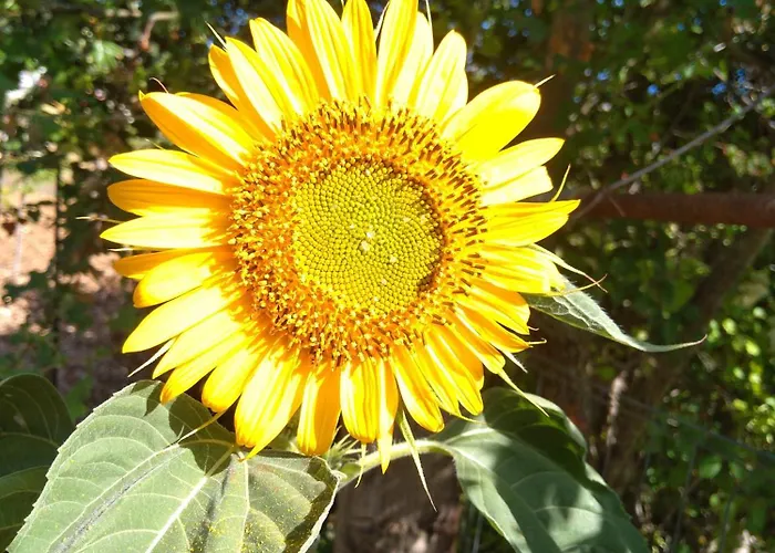 Vista Gransasso Διαμέρισμα *