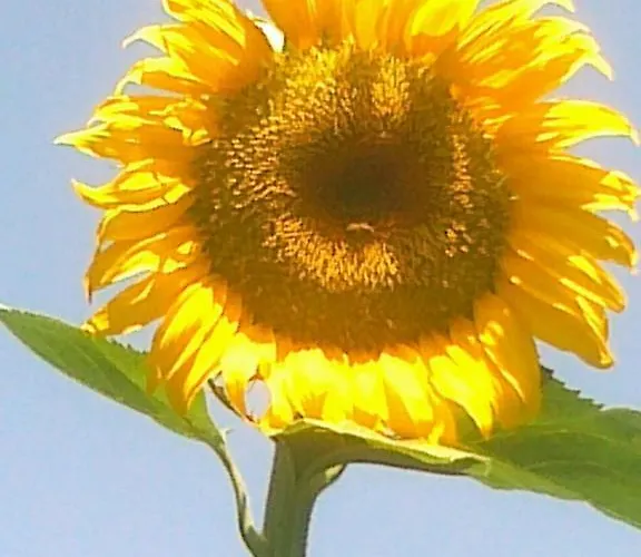 Διαμέρισμα Vista Gransasso *